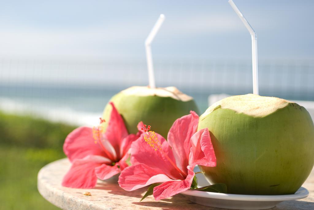 Oyo Hotel Arembepe Beach Hotel, Camacari Bagian luar foto