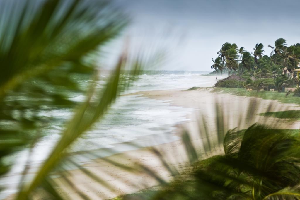 Oyo Hotel Arembepe Beach Hotel, Camacari Bagian luar foto